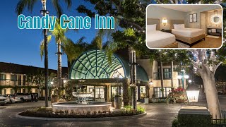 Review Cane Cane Inn [upl. by Suiluj882]