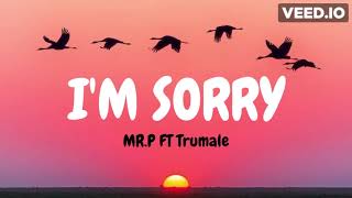 Am sorry MR President ft Trumel VIDEO LYRICS [upl. by Mortensen]