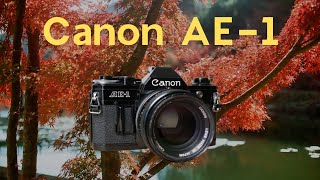 フィルムカメラ『Canon AE1』の使い方と作例 [upl. by Nireil941]