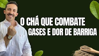 Qual melhor chá para combater gases e dor de barriga [upl. by Drazze]