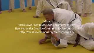 Judo  Jujigatame part 3 Steve Gawthorpe Series 2 [upl. by Wainwright]