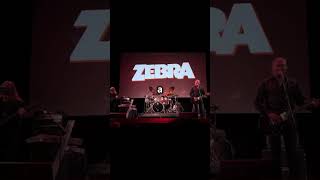 3 Little Known Facts About Zebra rocknroll [upl. by Gardiner358]