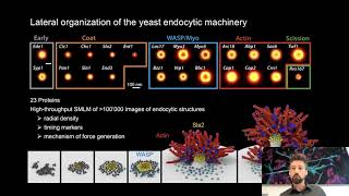 Jonas Ries quotSuperresolution microscopy for structural cell biologyquot [upl. by Roseann174]