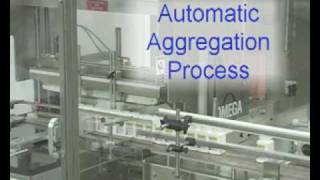 Serialization Process for the Pharmaceutical Packaging Line [upl. by Nohsad]