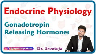 Gonadotropin Releasing Hormones  Endocrine physiology USMLE Step 1 [upl. by Gemoets691]