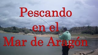 Jornada de pesca en el Mar de Aragón embalse de Mequinenza [upl. by Eiramyllek151]