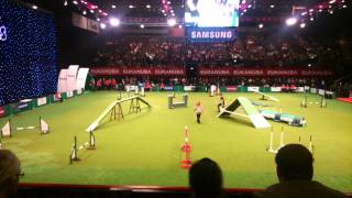 Ashleigh and Pudsey at Crufts 2014  they won [upl. by Tenaj]