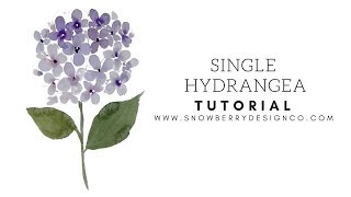 How to Paint a Single Hydrangea  BEGINNER WATERCOLOR TUTORIAL [upl. by Jala296]