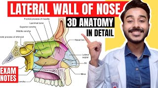 Lateral wall of nose anatomy  Lateral wall of nasal cavity anatomy [upl. by Page]