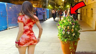 Bushman Prank This Bush scares Everyone [upl. by Yelrehs143]