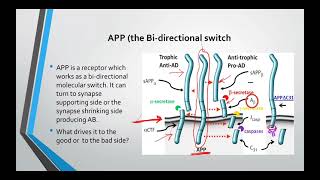 How to reverse Alzheimers disease Dr Dale Bredesen protocol The first section [upl. by Helbonnah]