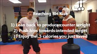 EVERY Roundhouse Kick Tutorial The School of Roundhouse [upl. by Sankaran539]