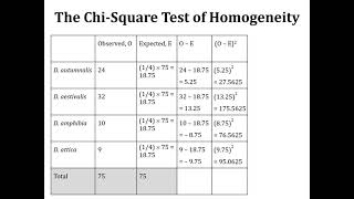 Chi Square Test Analysis of Frequencies GoodnessofFit Test of Independence [upl. by Atteynod563]