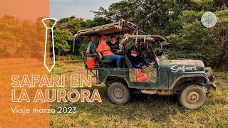 Safari en el Hato La Aurora  Casanare 2023 [upl. by Regor280]