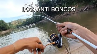 ULTRA LIGHT FISHING  MANCING IKAN PALING RAKUS ANTI BONCOS [upl. by Schaper]