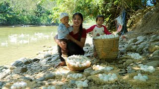 Harvest giant duck eggs to sell at the market  make dishes from duck eggs with your children [upl. by Rogozen]