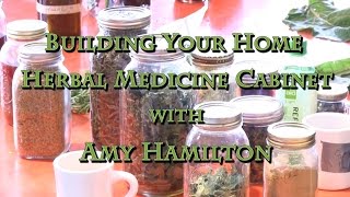 Building Your Home Herbal Medicine Cabinet with Amy Hamilton [upl. by Nho443]