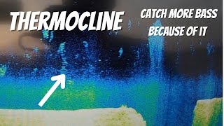 Thermocline What it is and translating it so you catch more BASS [upl. by Ark]