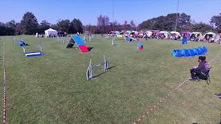 DCH DM 2024  Agility Finals  Grindsted Livestream [upl. by Ramunni]