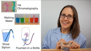 Science Moms Guide to Water Part 3  Capillary Action [upl. by Novyat]