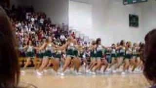 PRHS Cheerleaders Low Dance [upl. by Ardnoed554]