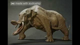 Amebelodon sound effects [upl. by Eppesiug]