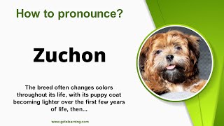 How to pronounce Zuchon in English correctly [upl. by Crain857]