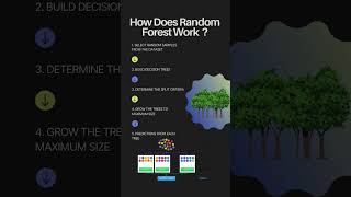 Random Forest Algorithm in Machine Learning education [upl. by Gnehp]