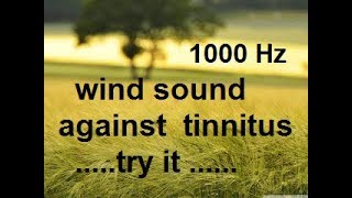 10 minutes wind at 1 000 Hz as sound therapy for tinnitus relief acouphènes [upl. by Colene]