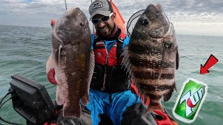 TAUTOG  SHEEPSHEAD POOR MANS LOBSTER W Secret Ingredient 7up Catch amp Cook [upl. by Barbaraanne]