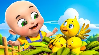 Chidiya Rani Badi Sayani  चिड़िया रानी  Hindi Nursery Rhymes  बाल कविताएं  Jugnu Kids India [upl. by Komarek]