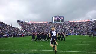 Cosmo and the Cougarettes perform “BIRDWALK” [upl. by Pelag885]