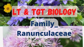 FamilyRanunculaceae LT grade biology TGT bio [upl. by Ehud196]