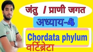 chordata phylum and vertibrets ssc rpsc 2nd grade teacher NTPC railway by Anil dhaka in hindi [upl. by Sadler]