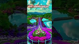 जीयाब ना सुनाये रानी bhojpuri song music love hindisong viralvideo [upl. by Holtz363]