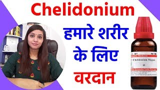 Snake milk herb  Ultimate health benefits Chelidonium majus [upl. by Siver205]