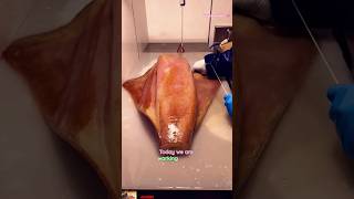 🦑 Giant Squid Skin Peeling Process  ASMR Calamari Prep squid cuttlefish calamar short trending [upl. by Azyl]