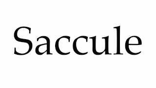 How to Pronounce Saccule [upl. by Eelano]