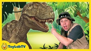 TRex Giant Life Size Dinosaur amp Park Ranger Aaron with Dinosaur Surprise Toys Opening [upl. by Kathleen]