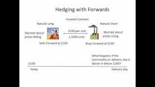 Hedging with Forwards [upl. by Aynam]