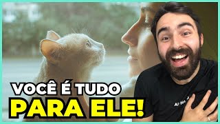 Se Seu Gato Faz ISSO Você é a VIDA INTEIRA Dele [upl. by Gabrielle]