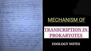 MECHANISM OF TRANSCRIPTION IN PROKARYOTES IN HINDI transcripioninprokaryotesnotes zoologynotes [upl. by Egiedan758]