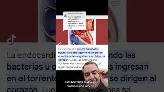 que es la endocarditis bacteriana [upl. by Enahpets20]