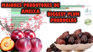 Maiores produtores de ameixas 19612020 [upl. by Daniel]