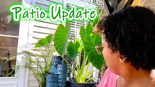 Patio Update  Details About Items I Purchased to Create Our Outdoor Oasis  Sunscreen On My Lip🫤 [upl. by Kaspar111]