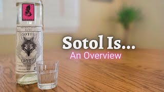 Sotol Is Learn about Mezcal amp Tequilas Rugged Cousin [upl. by Larual]