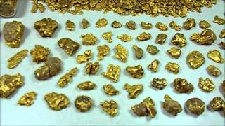 Alaska Gold Nugget Collection [upl. by Noram216]