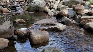 5min Relaxing Water Flowing Sound  River Nature Sounds Short Meditation WO Music  Running Stream [upl. by Ruder]