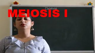 MEIOSIS I Easy explanation BIOLOGY  ICSE CBSE Board Exams [upl. by Ahsuas104]