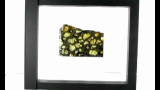 Pallasite meteorite for sale [upl. by Greiner]